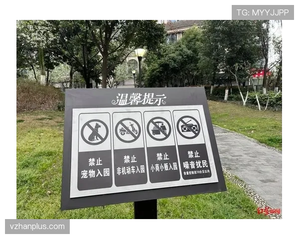 黄牌警告的判定标准：哪些行为必然吃牌？
